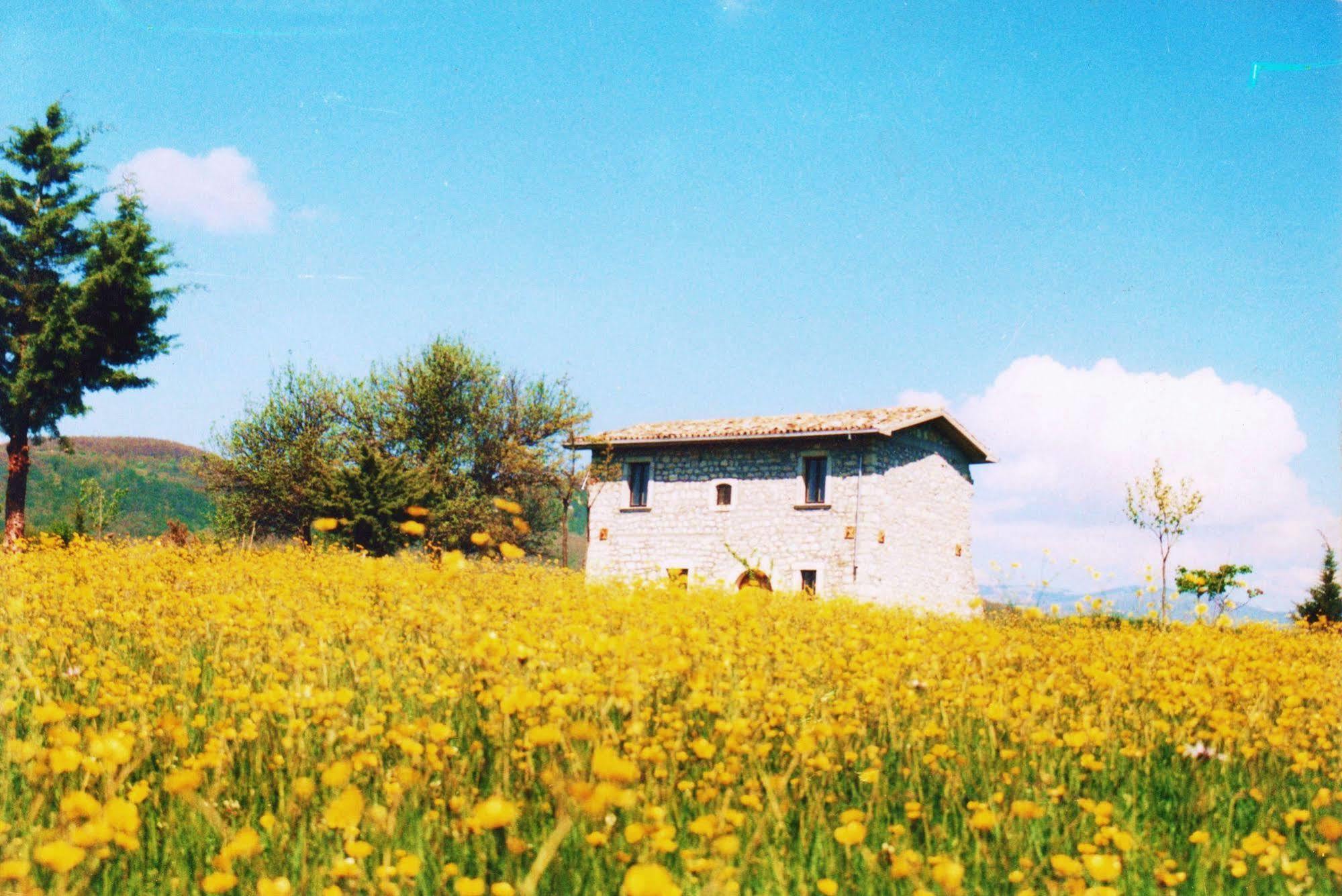 Casino Tonti Iarussi Villa Forli del Sannio Bagian luar foto